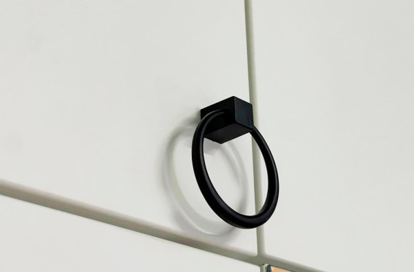 Ева Антресоль 2дв/116.01/Белое дерево/Белый матовый